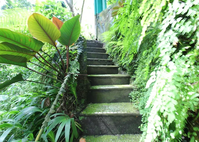 Belvilla Padma Legian Near Monkey Forestnearubud Palace 4*