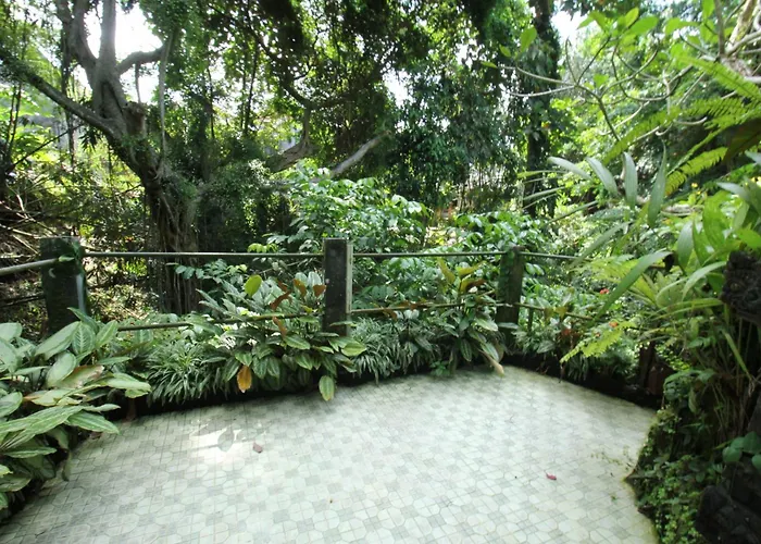 Belvilla Padma Legian Near Monkey Forestnearubud Palace Hotel 4*
