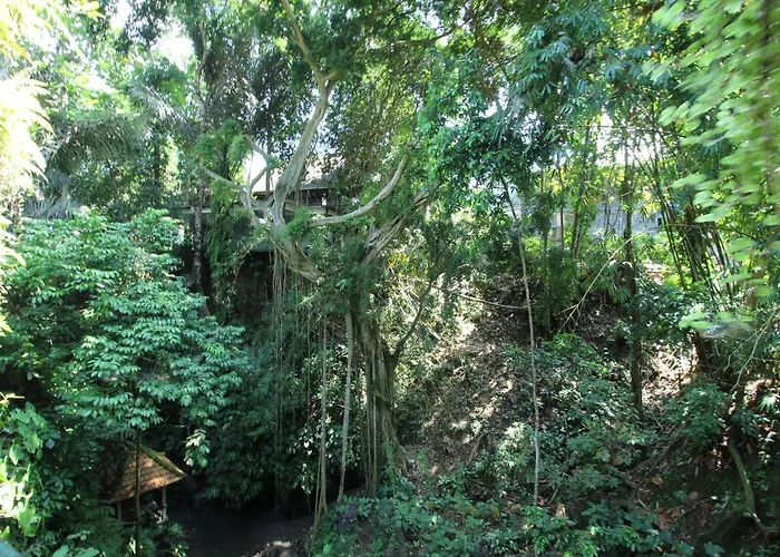 Hotel Belvilla Padma Legian Near Monkey Forestnearubud Palace Ubud