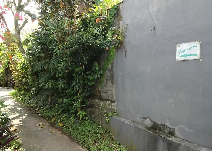 Belvilla Padma Legian Near Monkey Forestnearubud Palace Hotel 4*